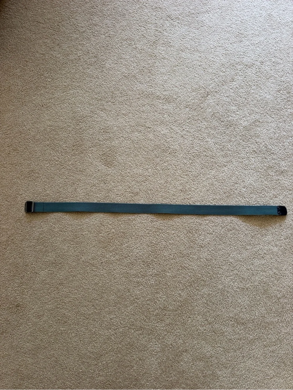 Arc'teryx Teal Stretch Webbing Belt with Black Buckle